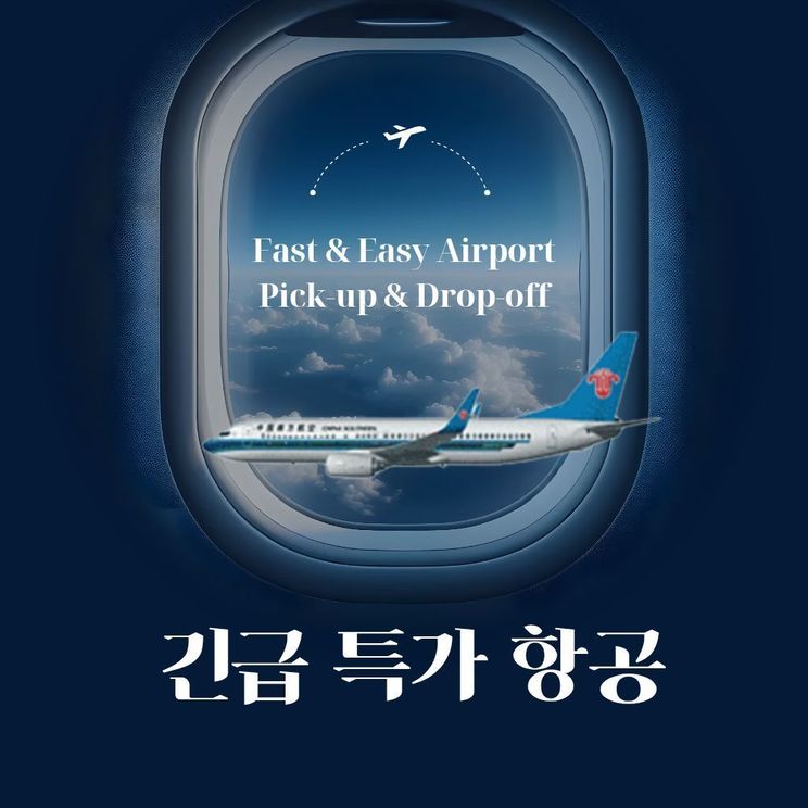 항공권 대행 서비스(개별문의)